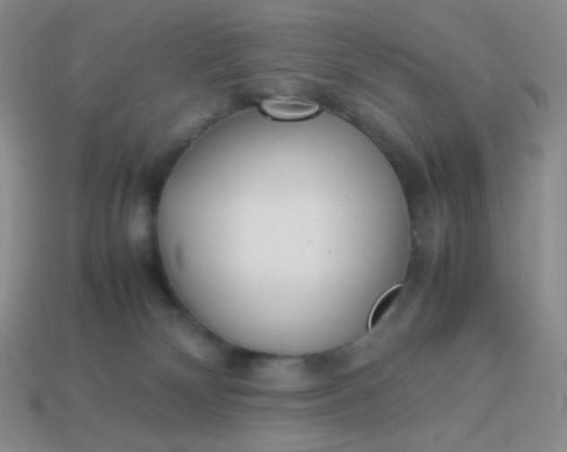 X0000114150132200910221555