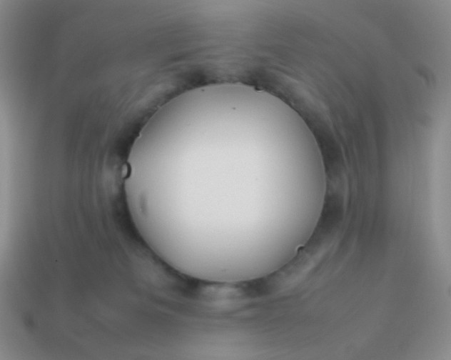 X0000114150133200910221555