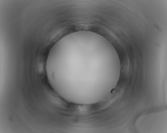 X0000114150134200910221555