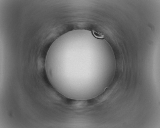 X0000114150135200910221555