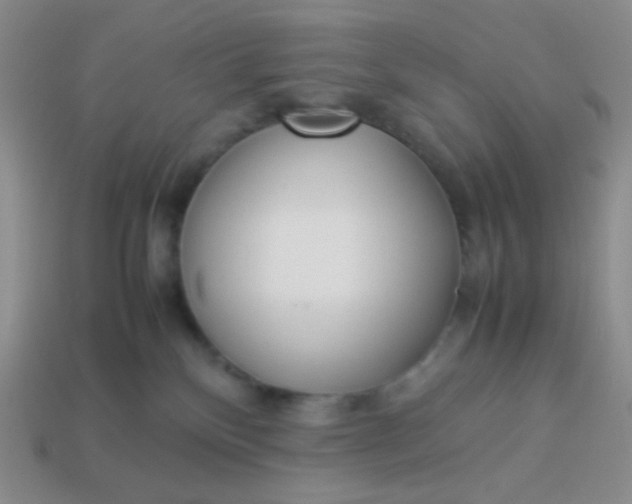 X0000114150136200910221555