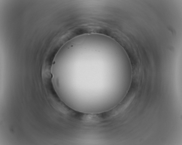 X0000114150137200910221555