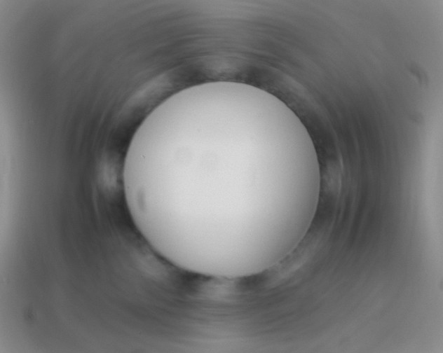 X0000114150138200910221555