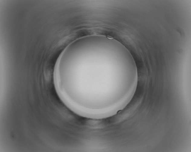 X0000114150139200910221555