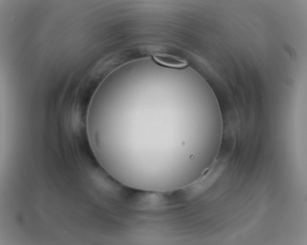 X0000114150140200910221555