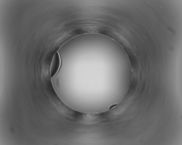 X0000114150141200910221555