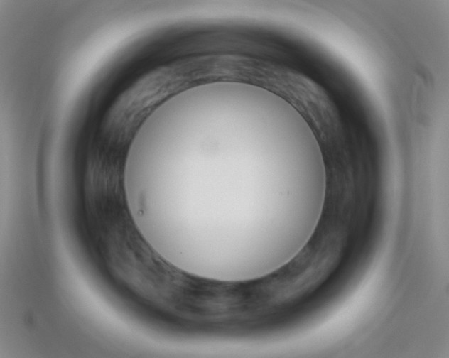 X0000114150142200910221555