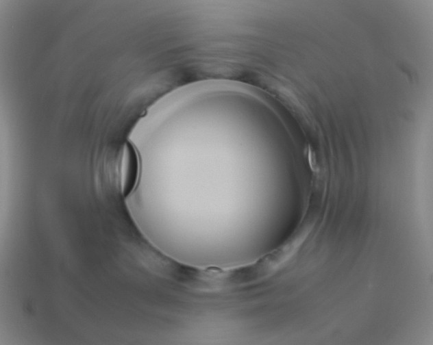 X0000114150143200910221555