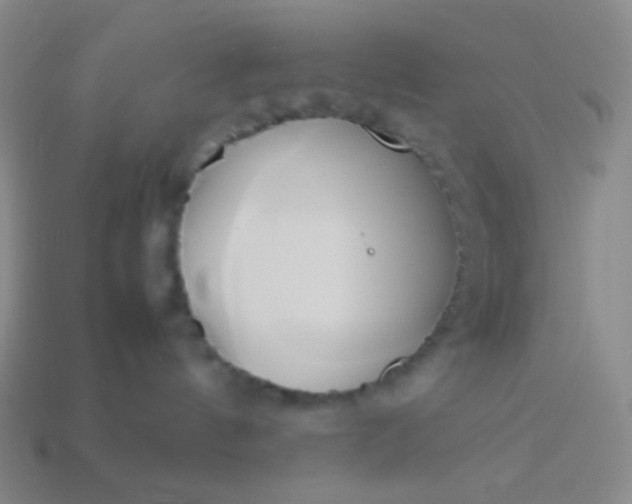 X0000114150144200910221554