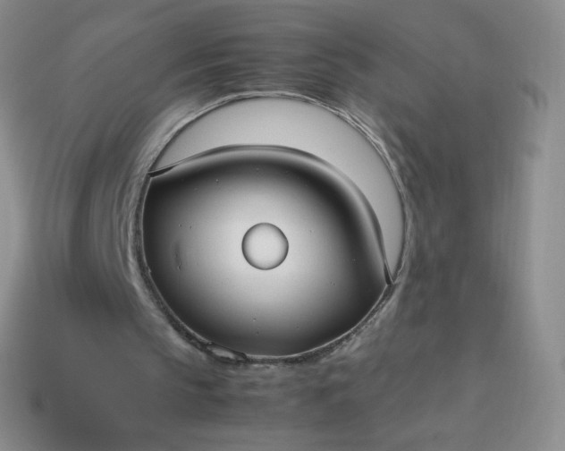 X0000114150145200910221554