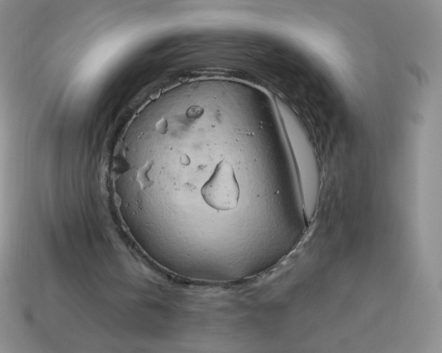 X0000114150146200910221554