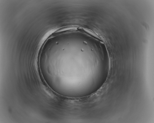 X0000114150147200910221554