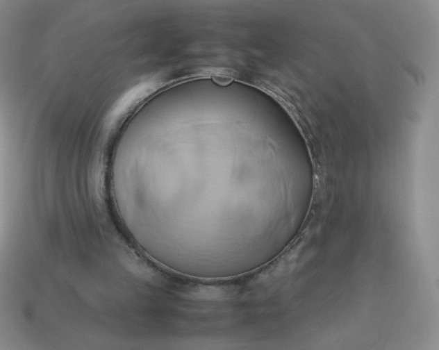 X0000114150149200910221554