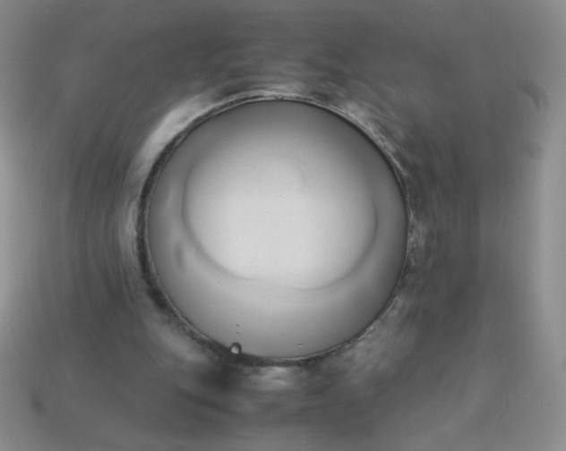 X0000114150151200910221554