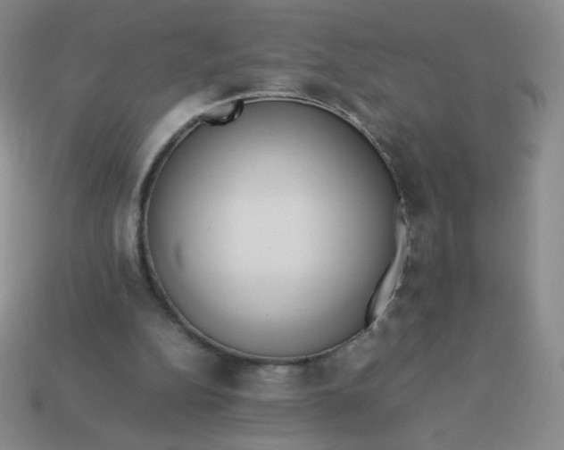 X0000114150152200910221554