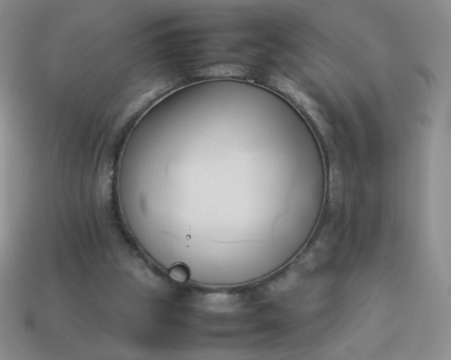 X0000114150153200910221554