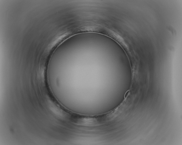 X0000114150154200910221554