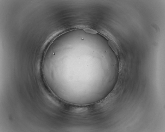 X0000114150155200910221554