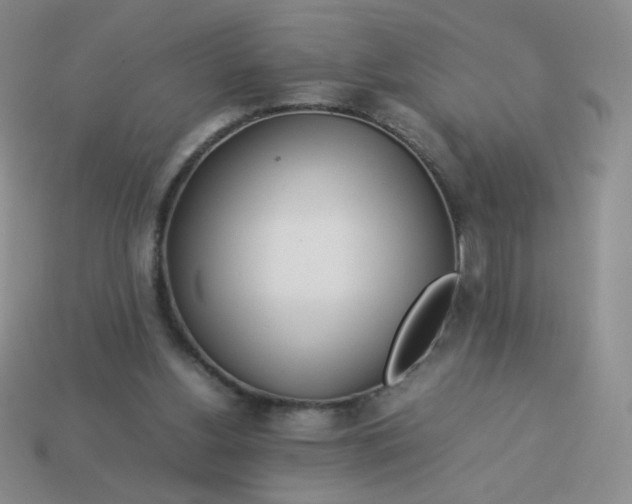 X0000114150156200910221554