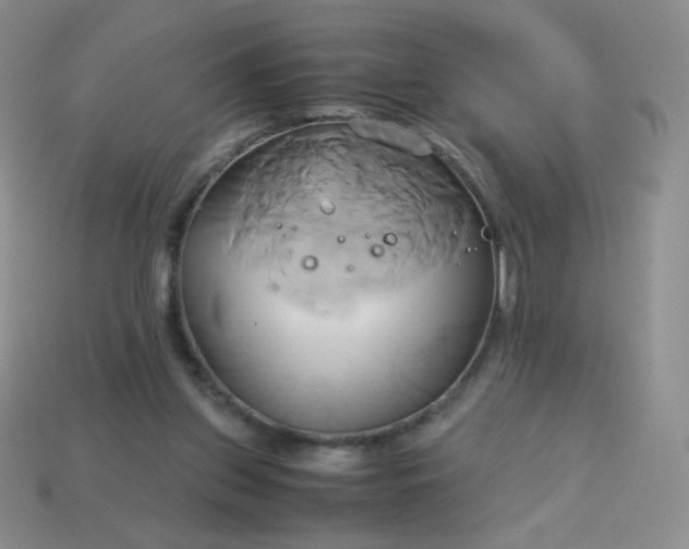 X0000114150157200910221554