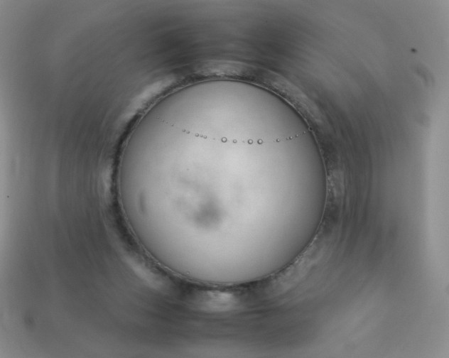 X0000114150159200910221554