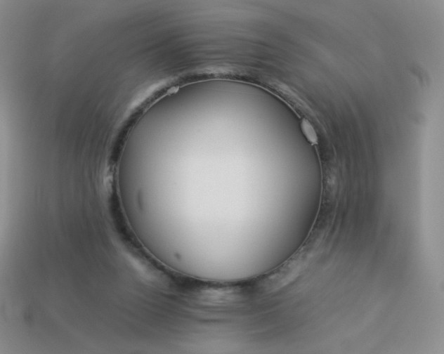 X0000114150160200910221554