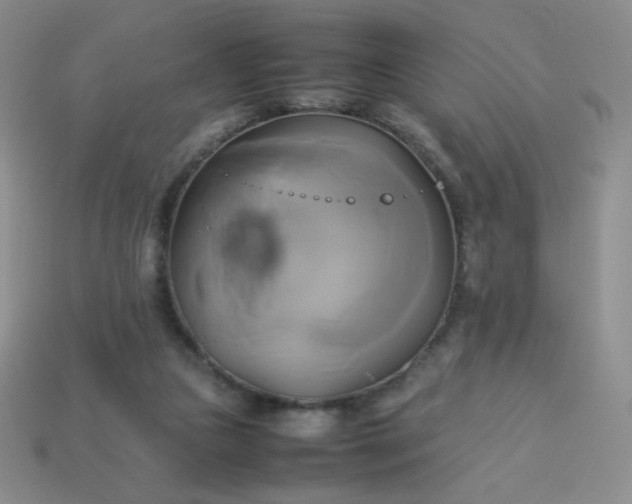 X0000114150161200910221554