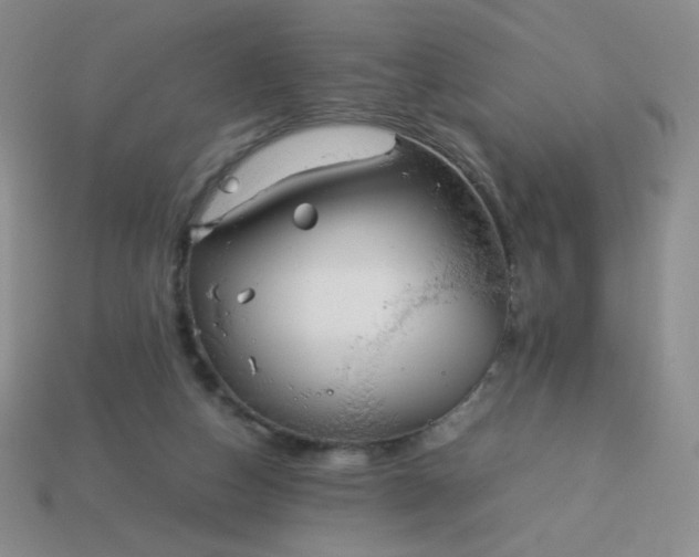 X0000114150162200910221554