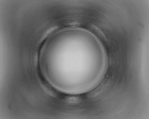 X0000114150163200910221554