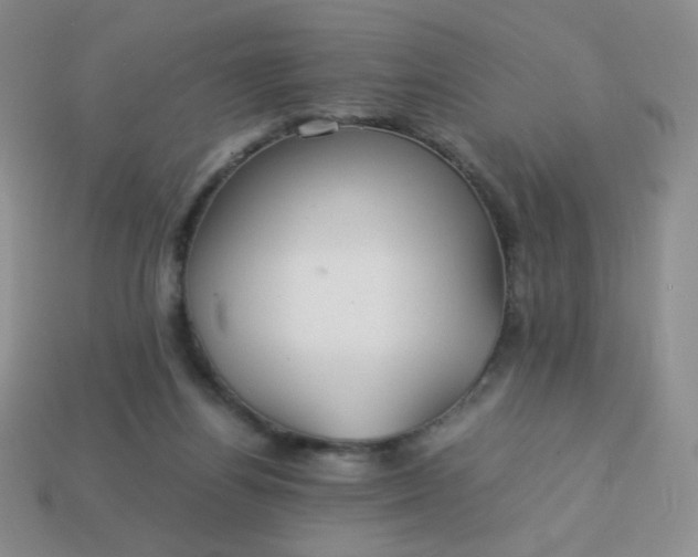 X0000114150164200910221554