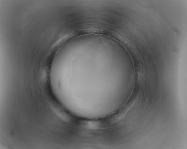 X0000114150165200910221554