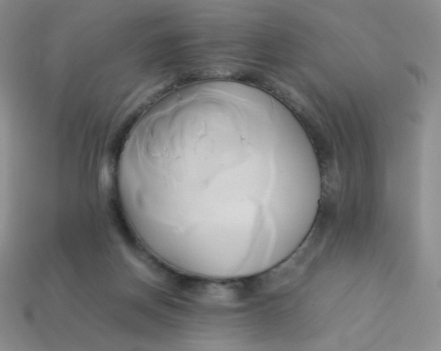 X0000114150166200910221554