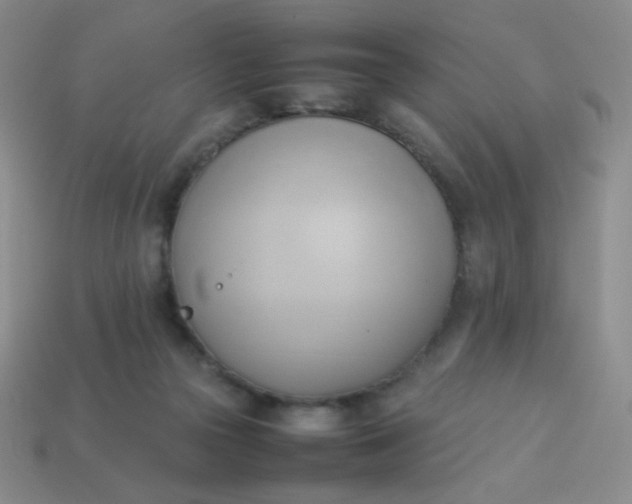 X0000114150169200910221554