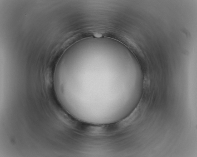 X0000114150170200910221554