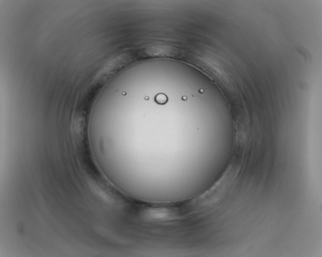 X0000114150171200910221554