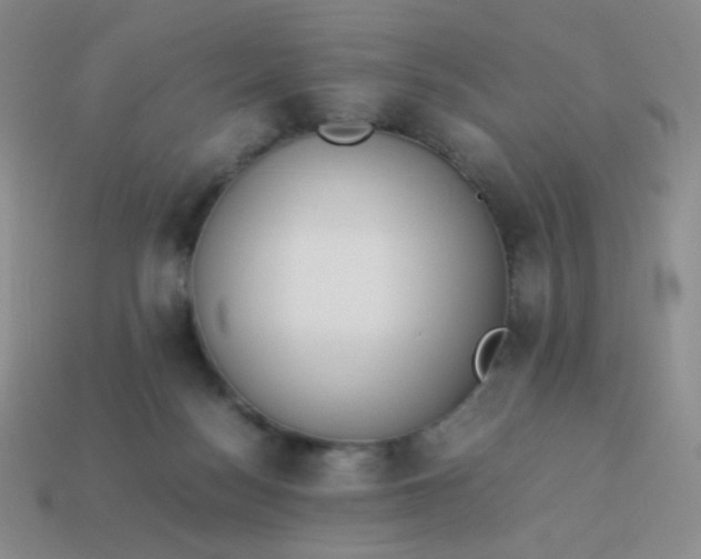 X0000114150172200910221554