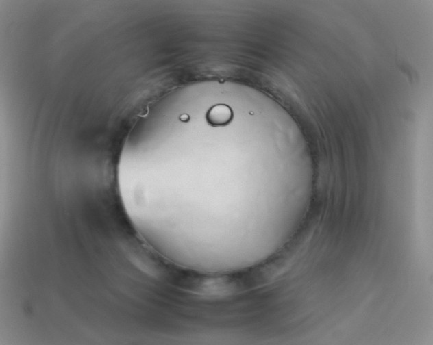 X0000114150173200910221554