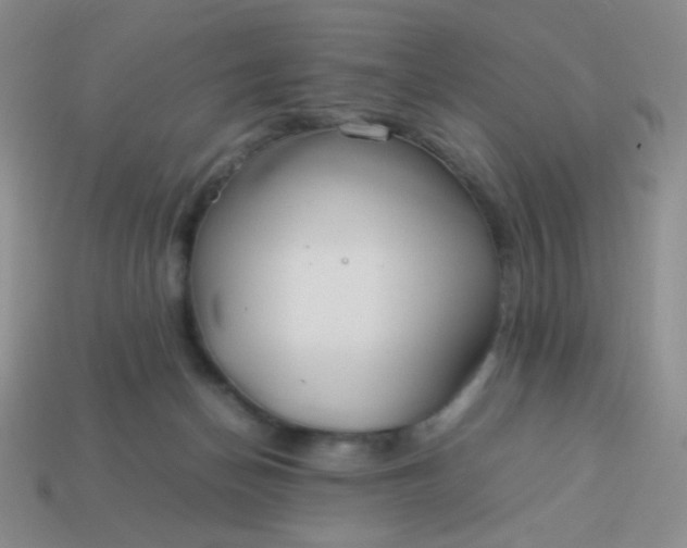 X0000114150174200910221554