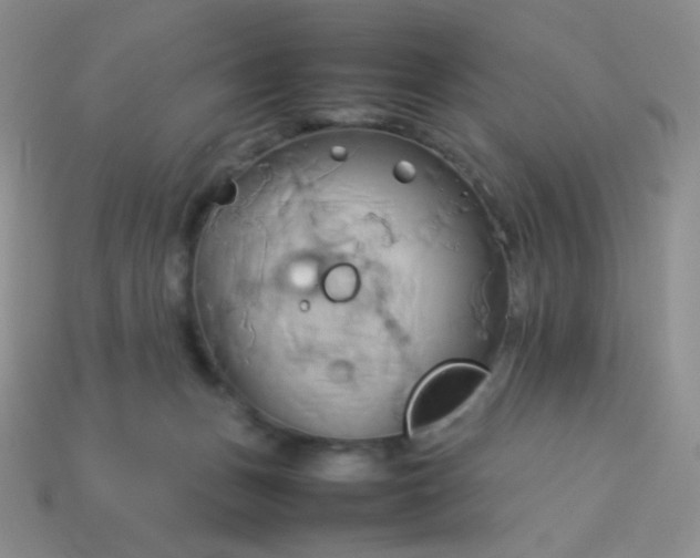 X0000114150175200910221554