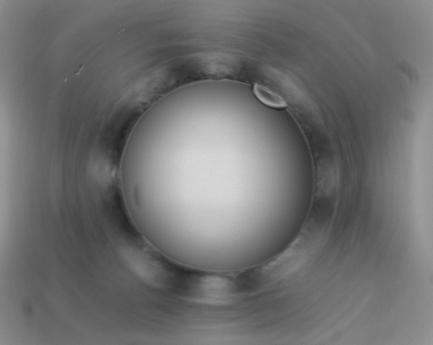 X0000114150176200910221554