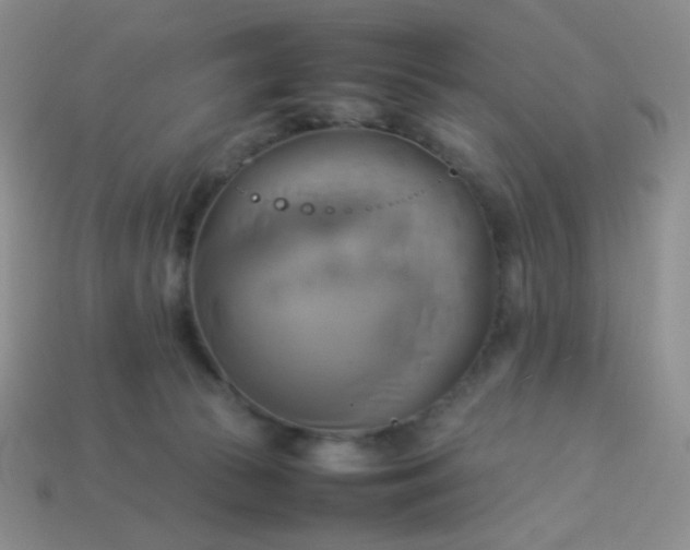 X0000114150177200910221554