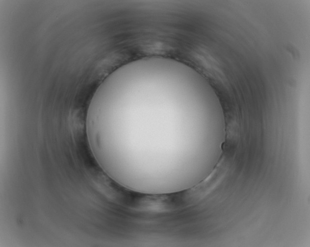 X0000114150179200910221554