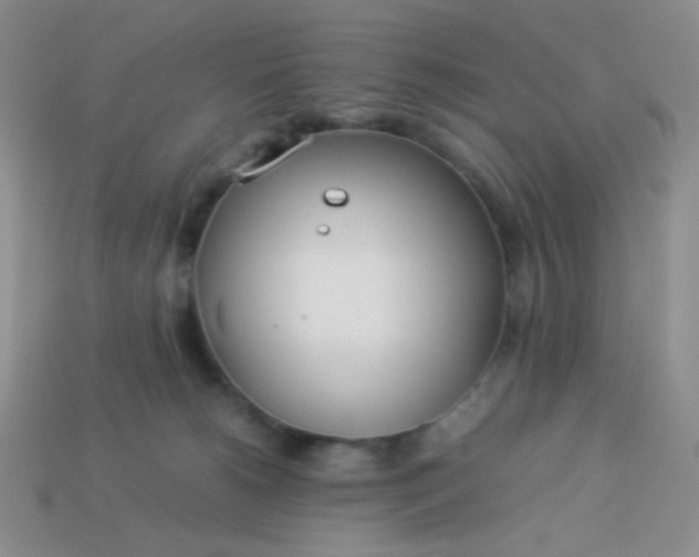 X0000114150180200910221554