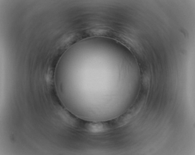 X0000114150181200910221554