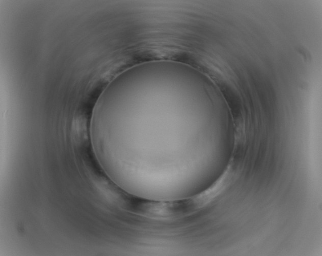 X0000114150182200910221554