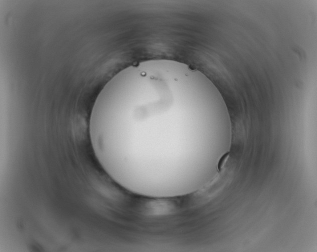 X0000114150183200910221554