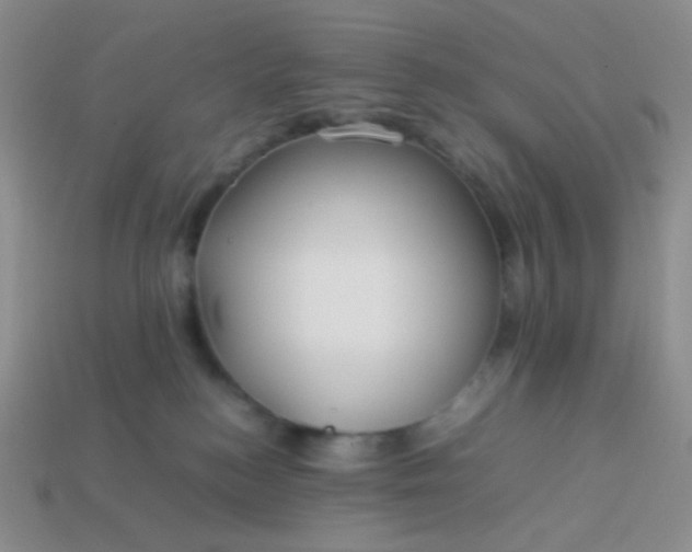 X0000114150184200910221554