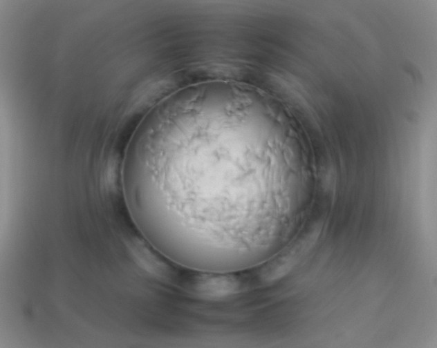 X0000114150185200910221554