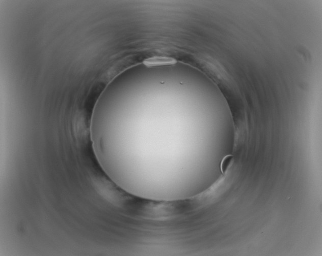 X0000114150186200910221554