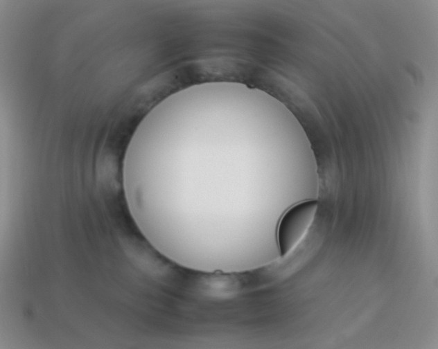 X0000114150187200910221554